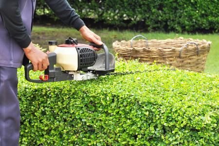 Hedge trimming Tyler TX