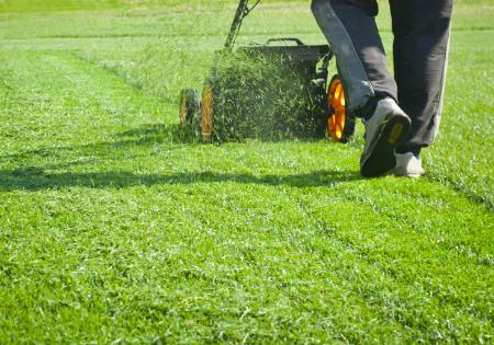 Lawn mowing in Tyler TX