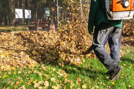 Leaf blowing in Tyler TX